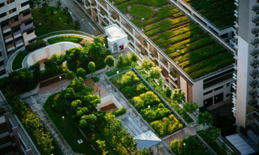 Climate x Borders – Cities in a changing climate