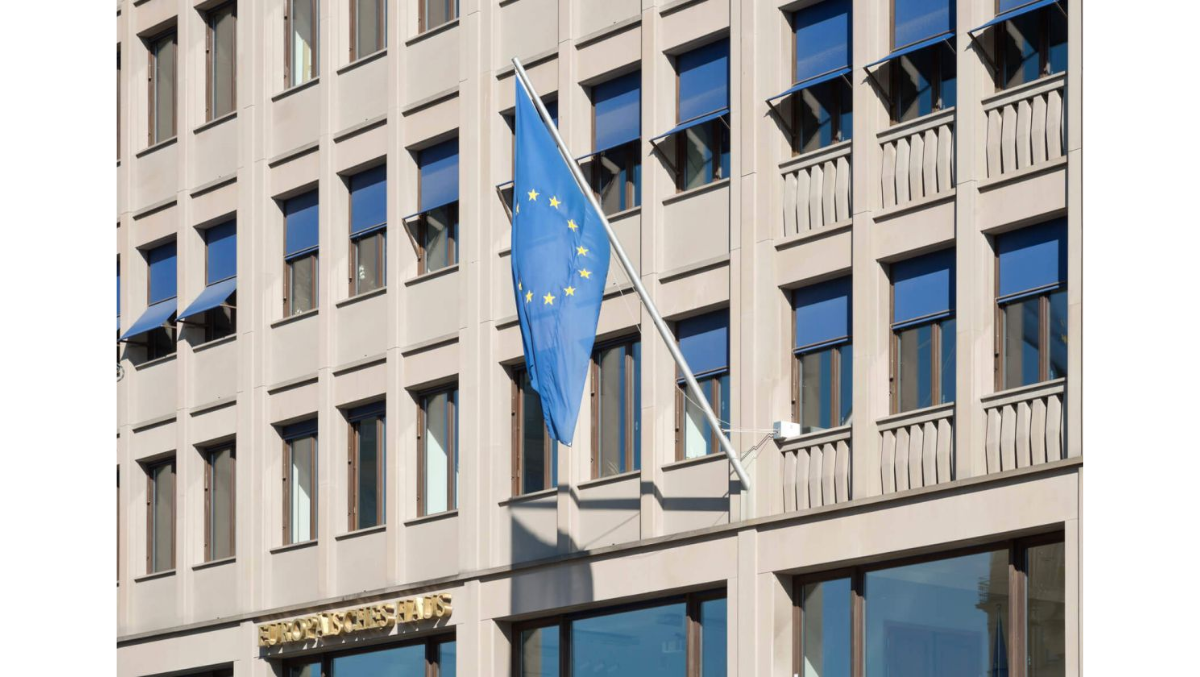 Hybrid Threats to European Democracy with MEP Lena Düpont & Hybrid Threats-Expert Martha Turnbull