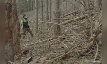 „Das kahle Herz – Waldmenschen in Thüringen“ Film und Gespräch