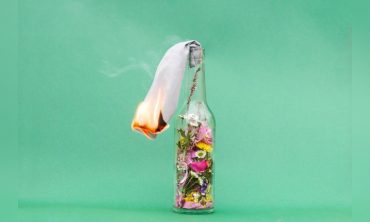 DAS STILLE STERBEN DER NATUR