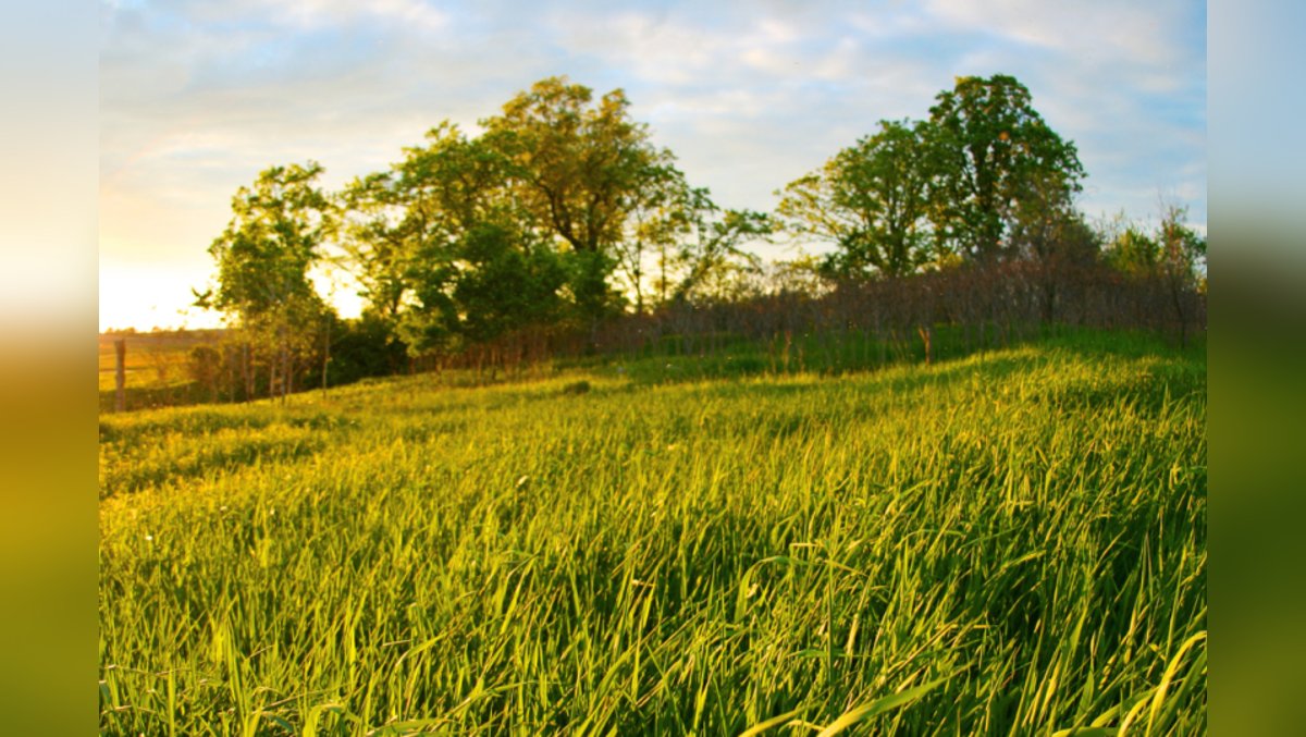 regionales Netzwerktreffen Nord: Treffen von aktuellen und ehemaligen Böll-stipendiat*innen