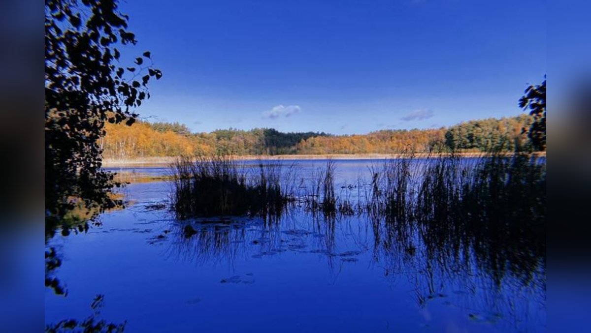 Mit anderen Augen Se(h)en Bildungsurlaub zum Thema Wasser an der Mecklenburger Seenplatte