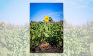 Folter. Willkür. Besatzungsdruck. Leben in den russisch besetzten Gebieten der Ukraine