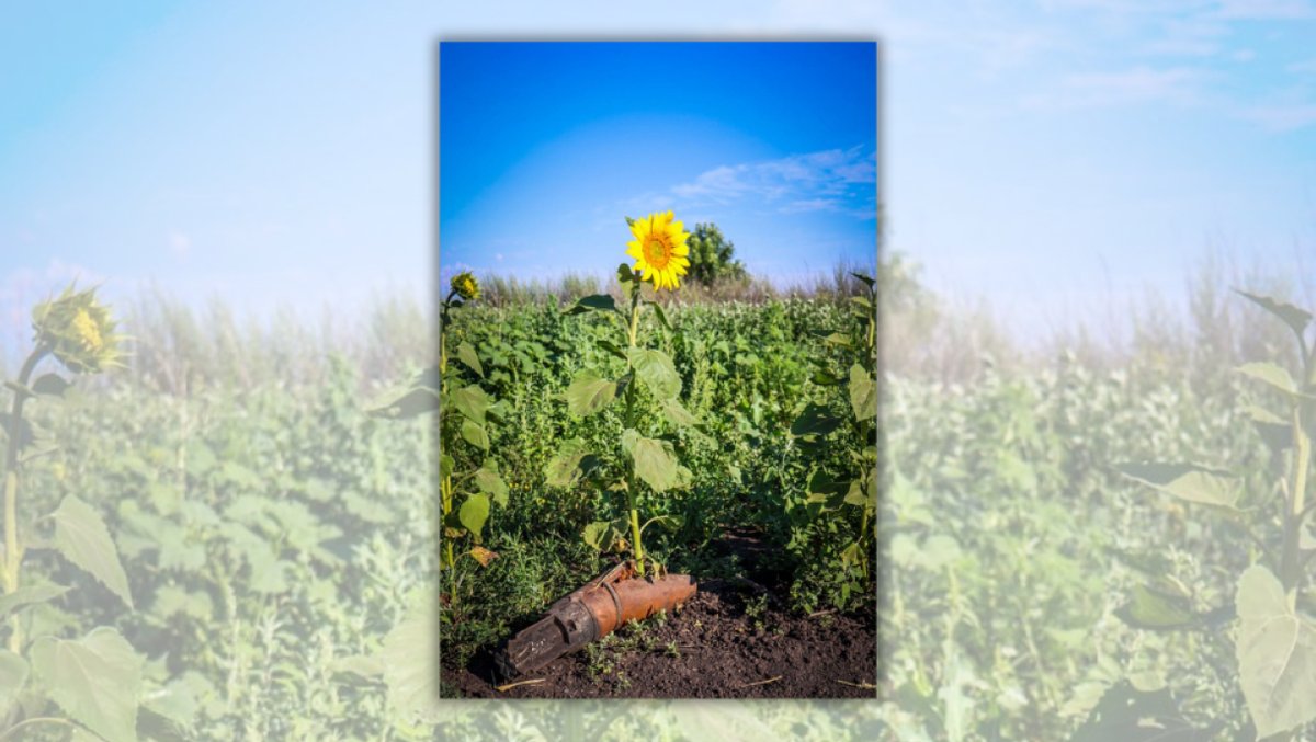 Folter. Willkür. Besatzungsdruck. Leben in den russisch besetzten Gebieten der Ukraine