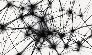 Wege des Alltags – Sichtbarkeit von Frauen* im öffentlichen Raum Workshop mit Stadtspaziergang