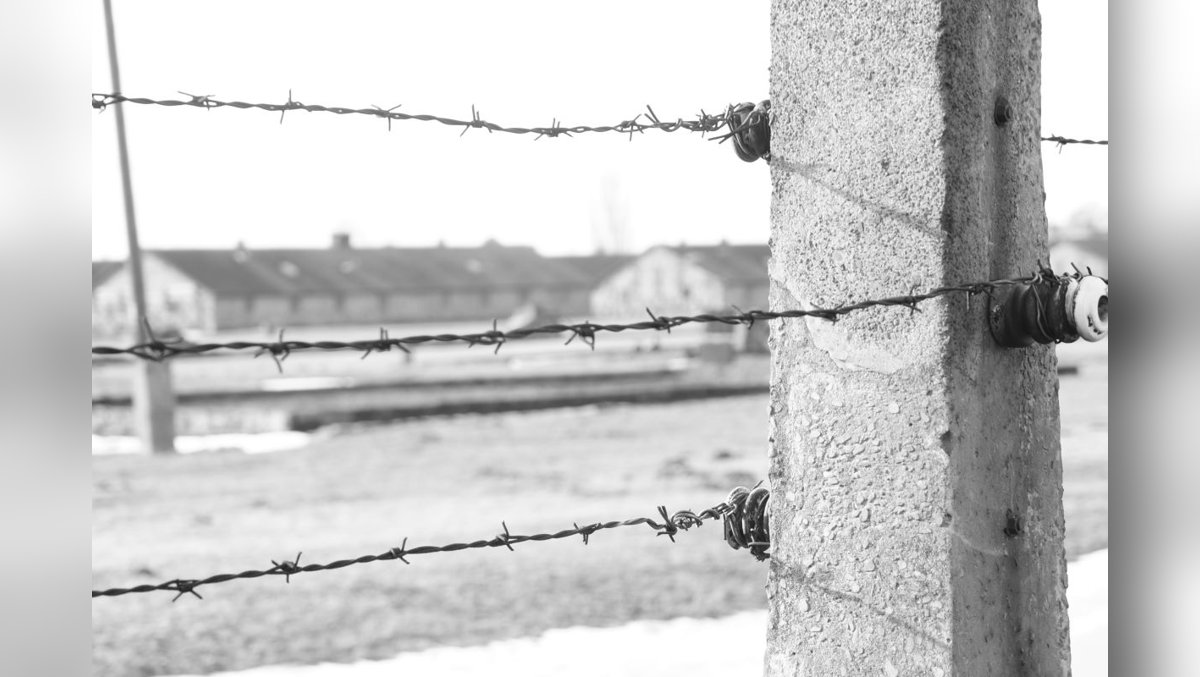 „Der Blick dahinter“ – Holocaust erinnern, Demokratie stärken