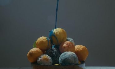 Toxic Harvest Deutsche Konzerne und der Export verbotener Pestizide