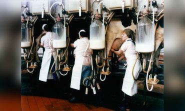 Expertengespräch: „Wer die Bäuerin nicht ehrt“ – Frauen in der Landwirtschaft seit 1945