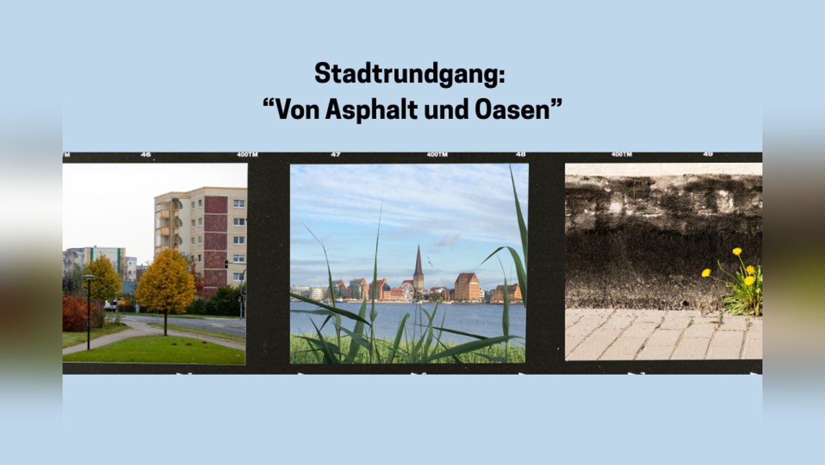 Von Asphalt und Oasen: Stadtrundgang in Rostock