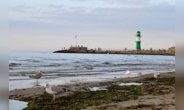 Regionalreise der Freundinnen und Freunde nach Mecklenburg-Vorpommern