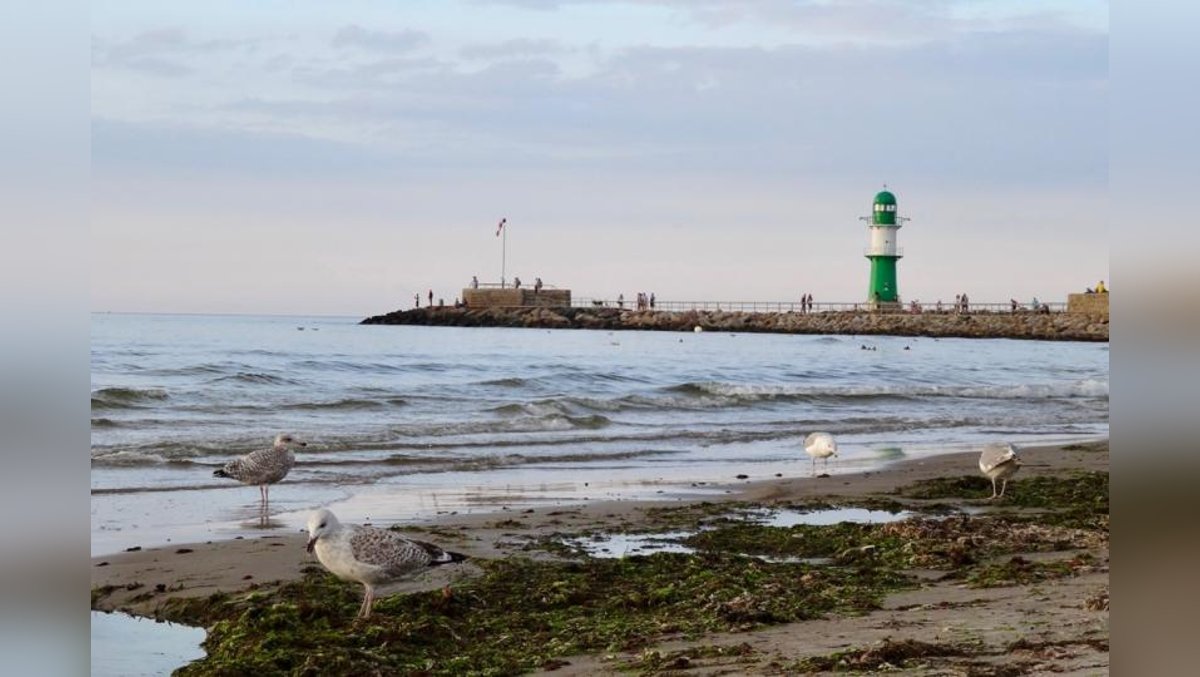 Regionalreise der Freundinnen und Freunde nach Mecklenburg-Vorpommern