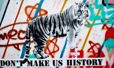 Ökozide, Kolonialität der Macht und imperiale Lebensweise