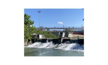 Von Asphalt und Oasen Stadtspaziergang zu Umwelt und sozialer Gerechtigkeit