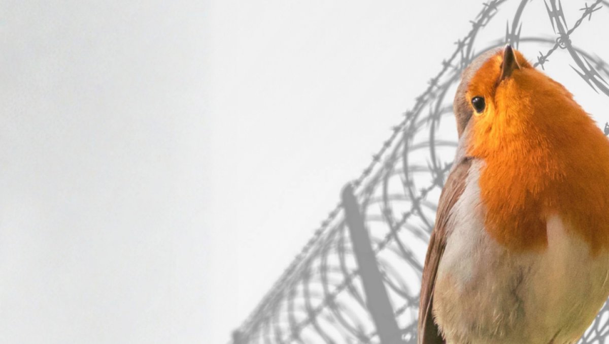 Vögel fernab der Politik? Ausstellung zum Kampf um Natur und Demokratie in Belarus