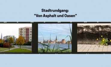 Von Asphalt und Oasen: Stadtspaziergang in Rostock