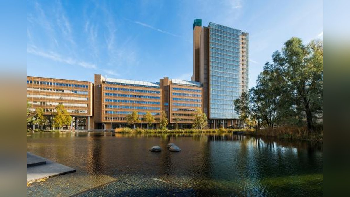 Schwammstadt Berlin erfahren