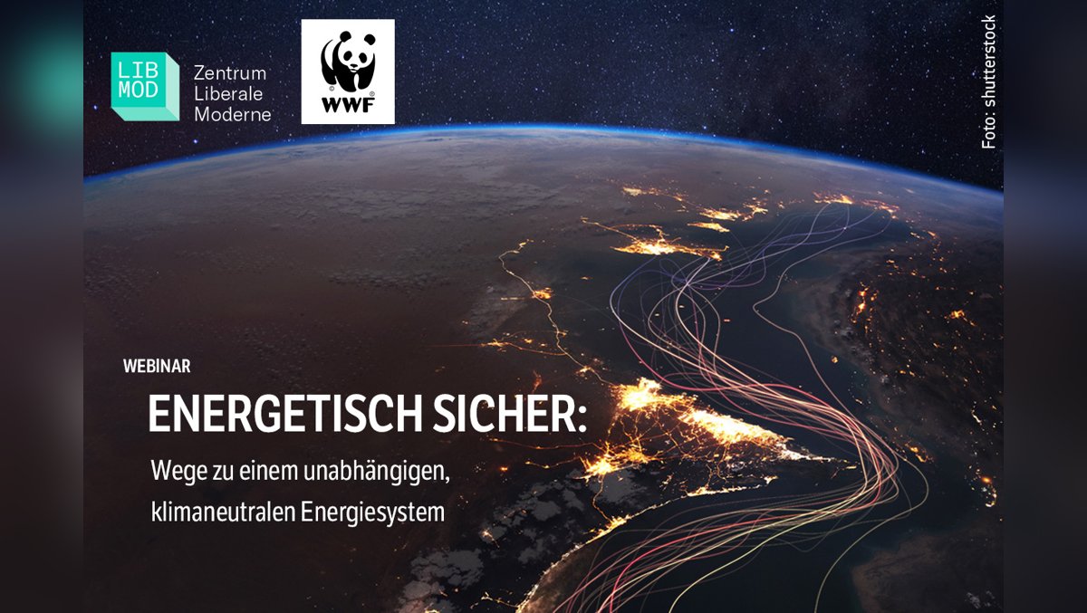 Energetisch sicher: Wege zu einem unabhängigen, klimaneutralen Energiesystem (Webinar 4/4)